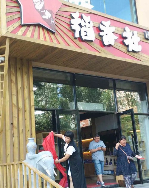 哈尔滨大象安装