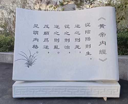 芝麻白书卷